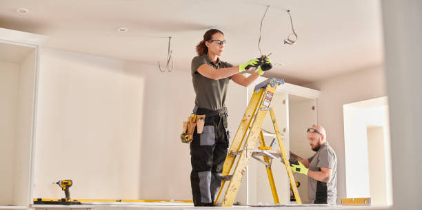 Best Electric Panel Repair  in Mackinaw, IL